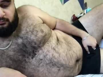  alan bear 