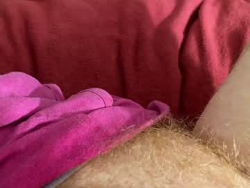 mykittyneedsu