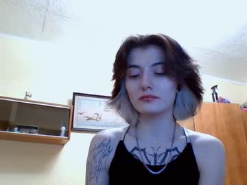 shelleyferrett