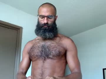 woof wolf37